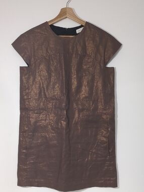 Pale Fire Metallic Bronze Shift Dress